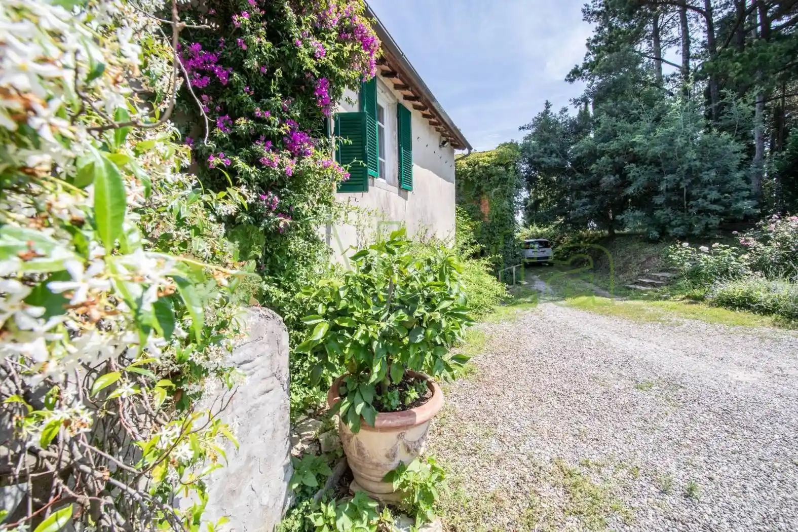 Rustico via di Vicopelago, Massa Pisana - Vicopelago, Lucca - foto 4