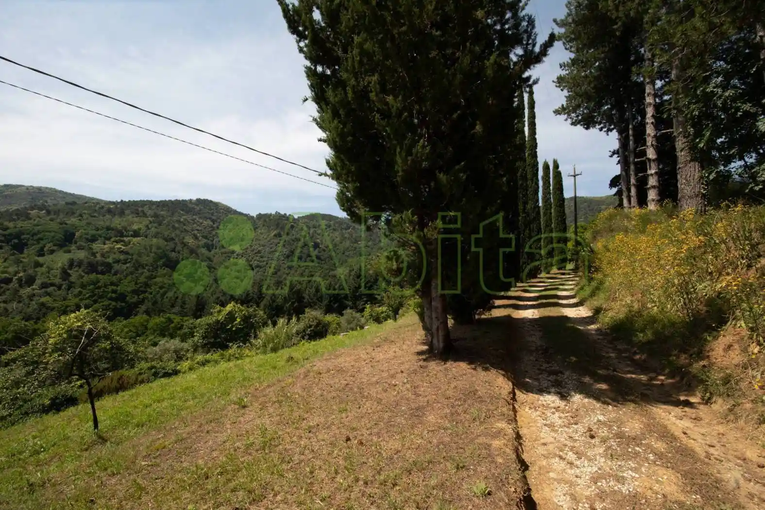 Rustico via di Vicopelago, Massa Pisana - Vicopelago, Lucca - foto 5