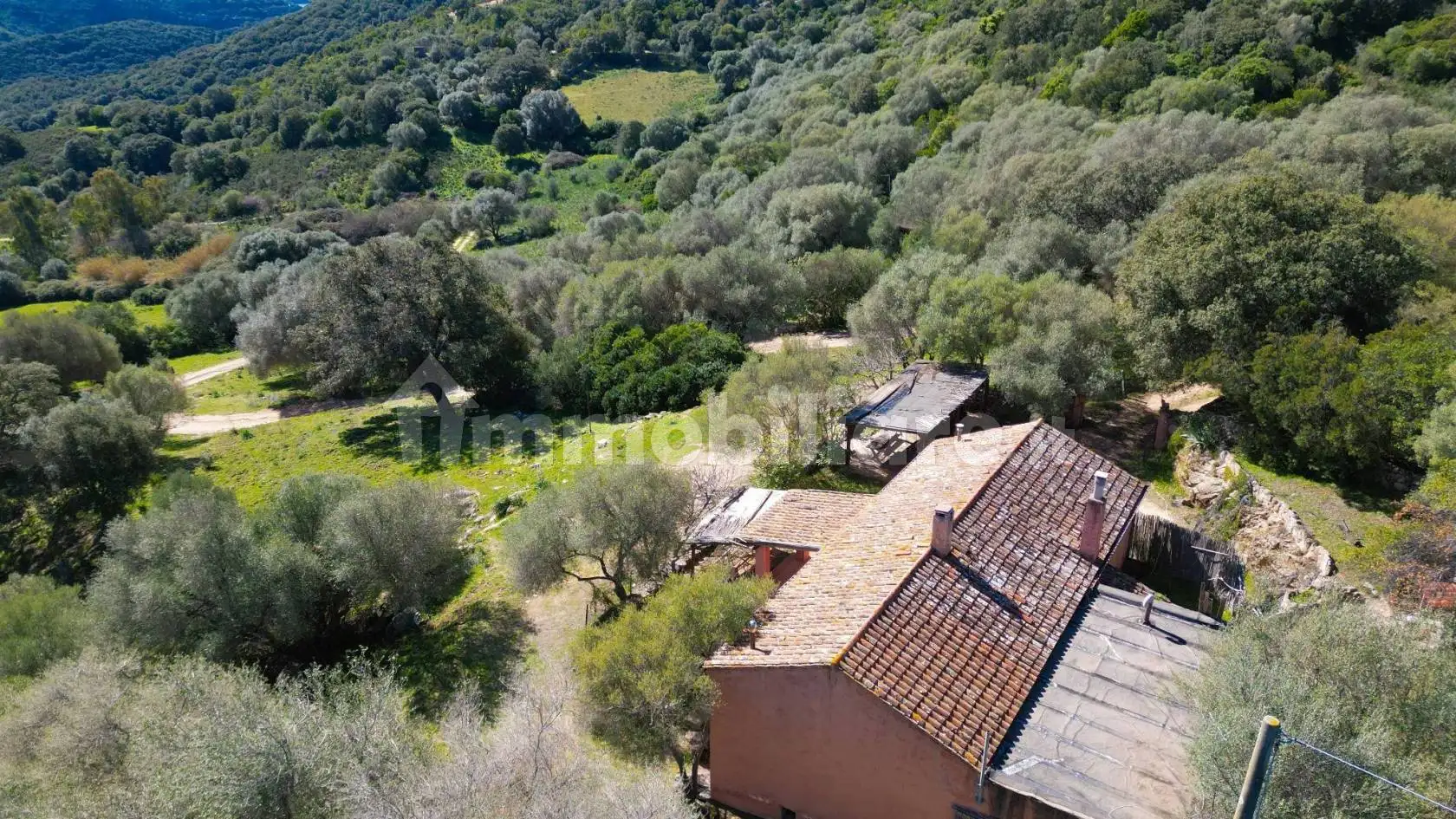 Rustico - Casale in vendita a Luogosanto