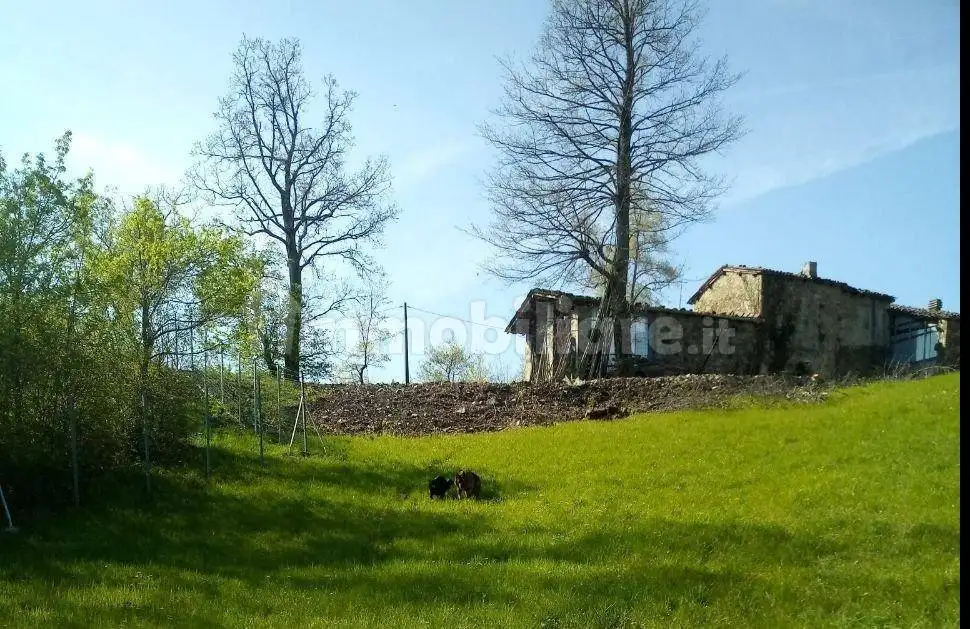 Rustico Località Burzanella, Burzanella, Camugnano - foto 3