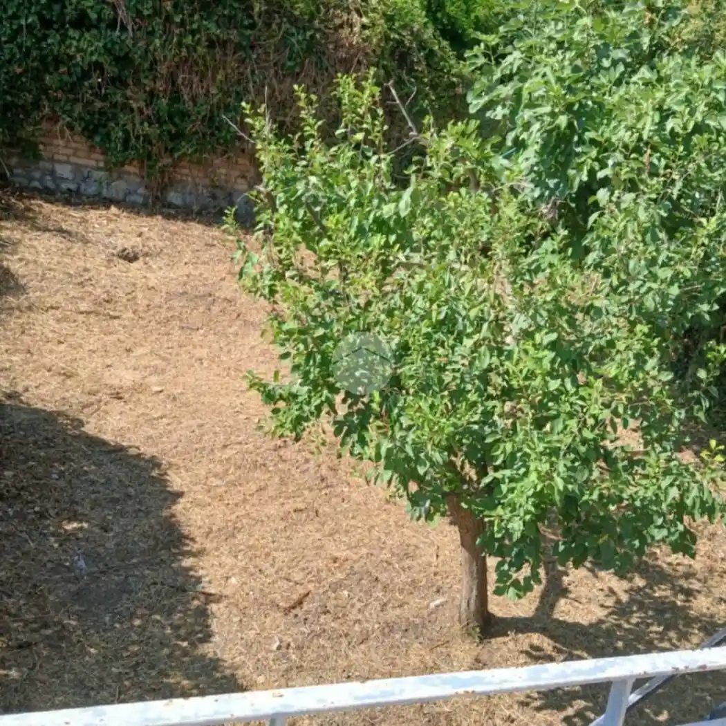 Quadrilocale viale Ringa 66, Centro, Penne - foto 3