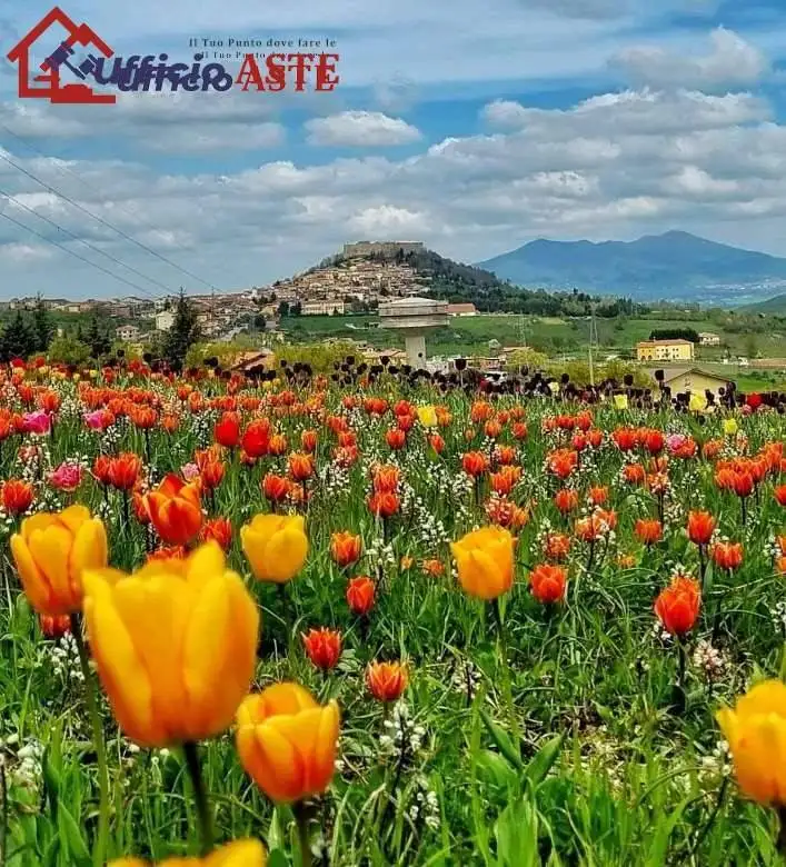 Villa in vendita a Avigliano