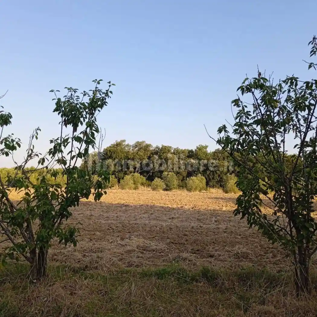 Rustico - Casale in vendita a Grosseto