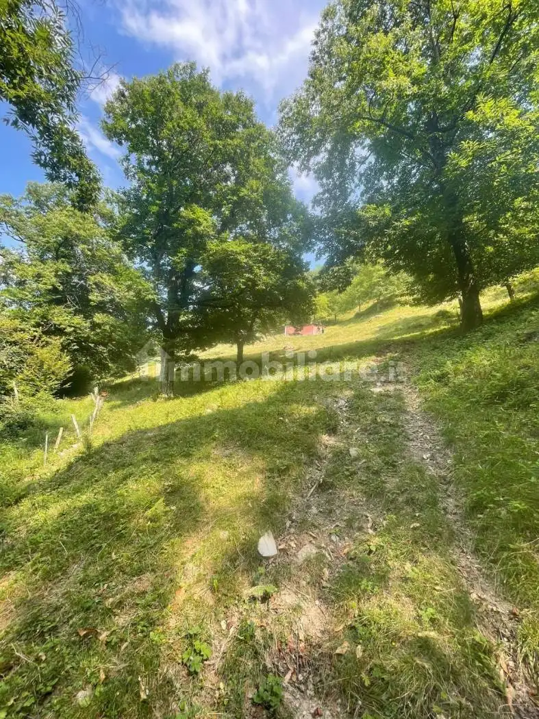 Baita via Selva, Brazzova, Asso - foto 2