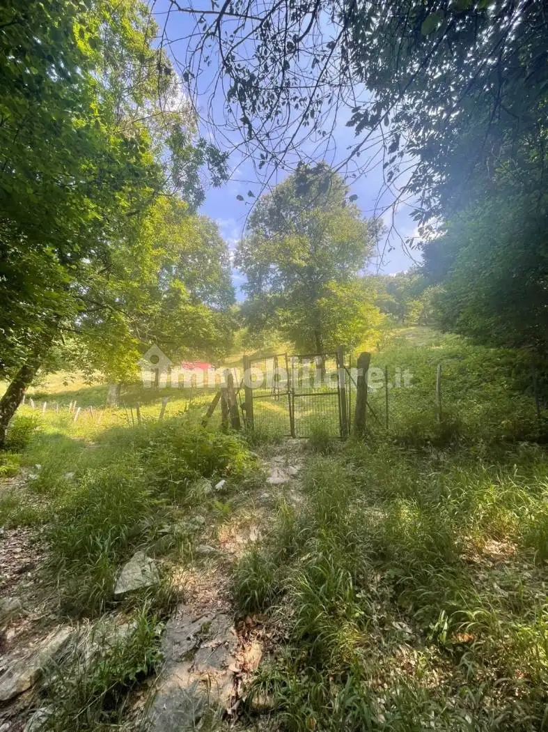 Baita via Selva, Brazzova, Asso - foto 3