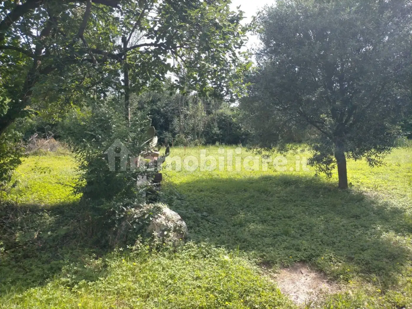 Rustico - Casale in vendita a Mirano