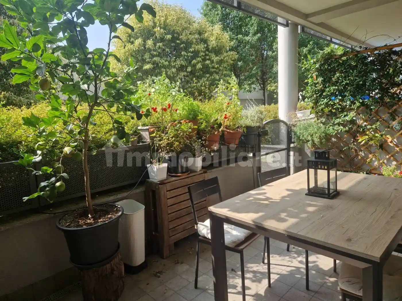 Appartamento in affitto a Milano