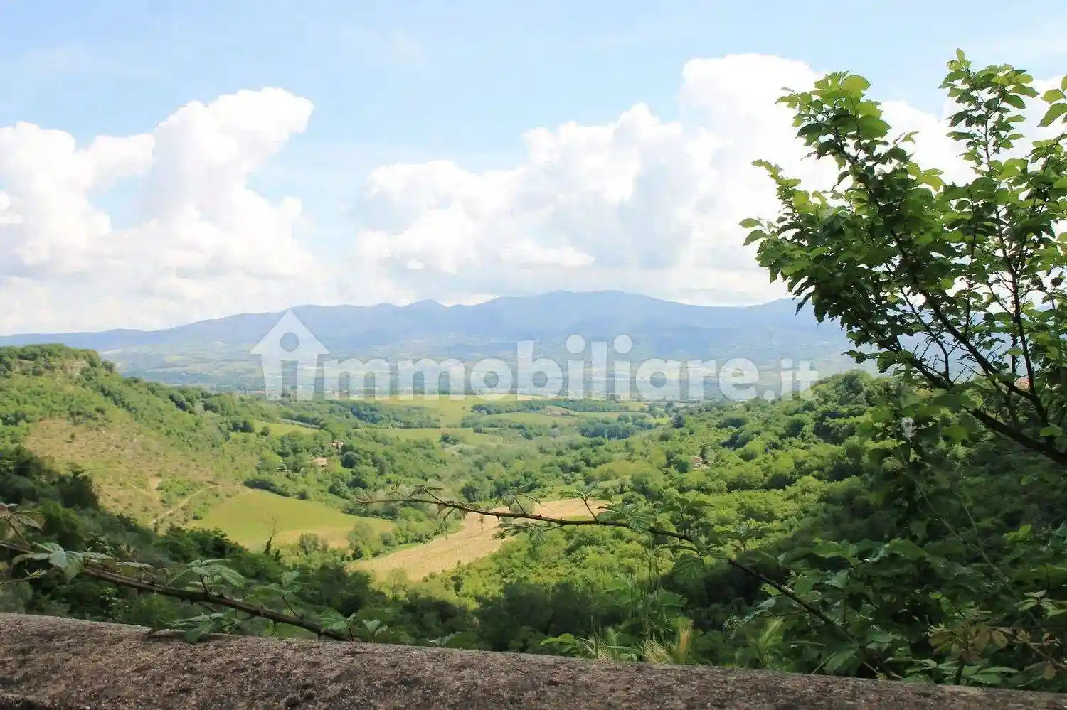 Appartamento via Conventino, 17, Centro, Civitella d'Agliano - foto 3