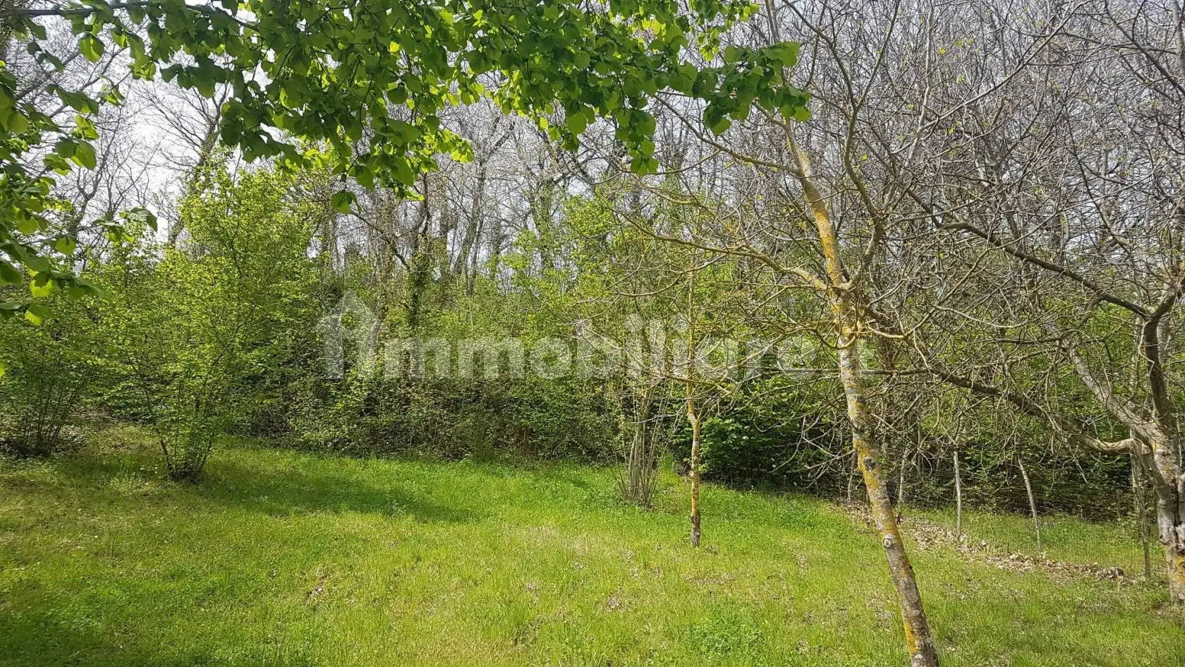 Villa in vendita a Montemiletto