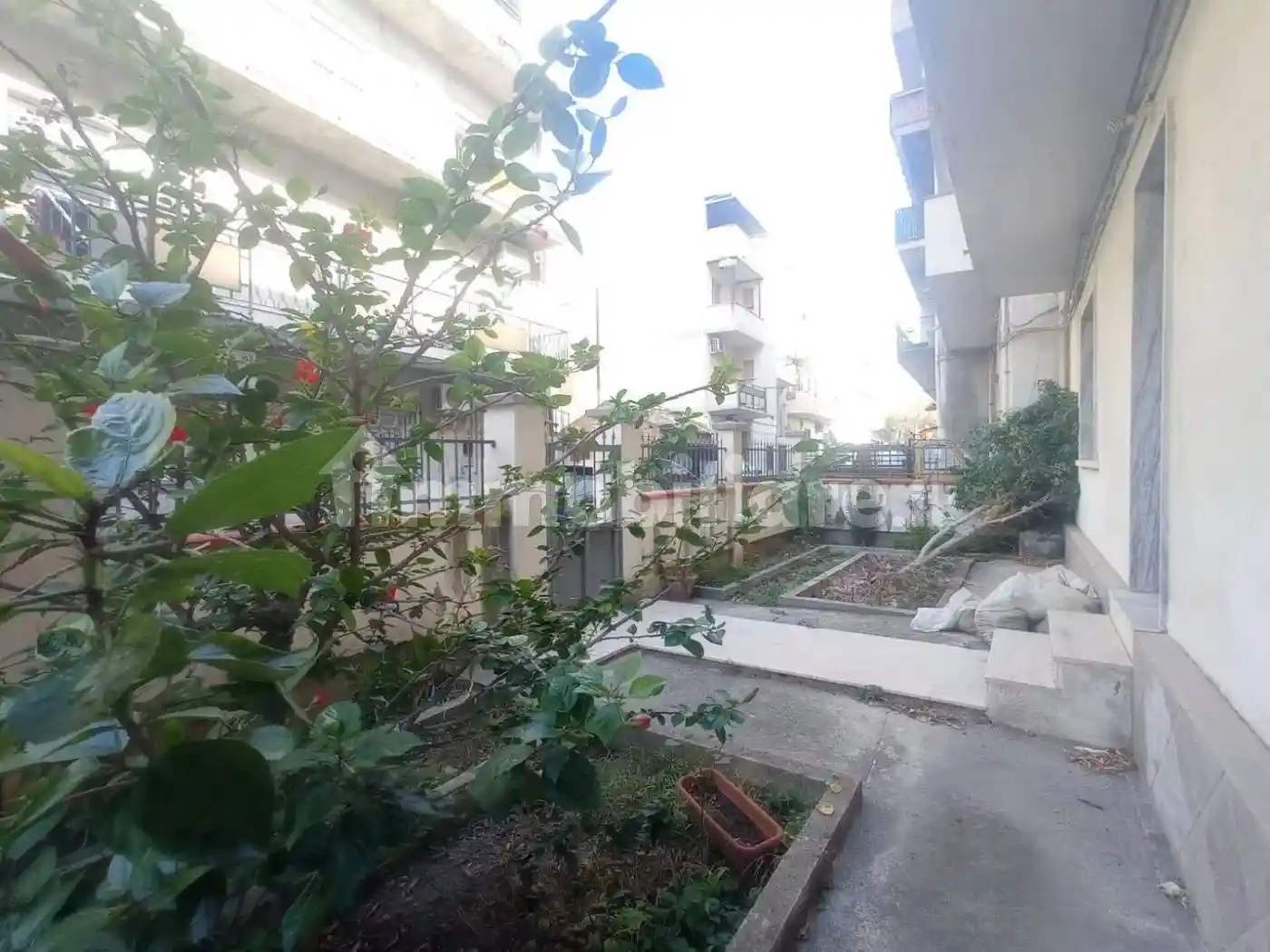 Quadrilocale traversa Cuzzocrea No Number, Ravagnese, Reggio Calabria - foto 4