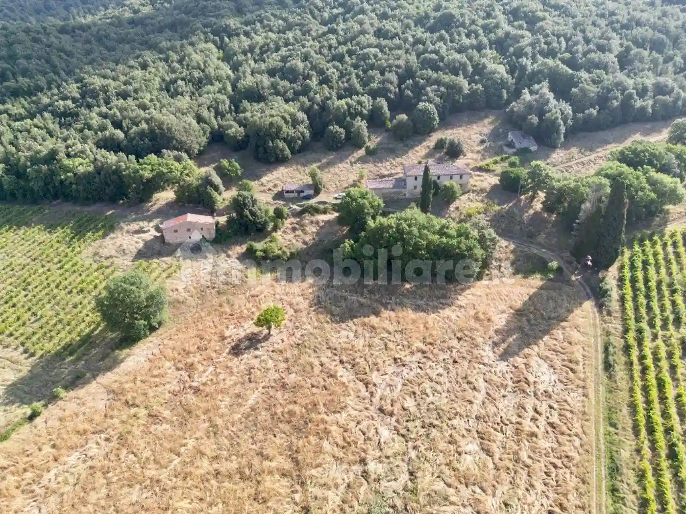 Rustico - Casale - foto 2