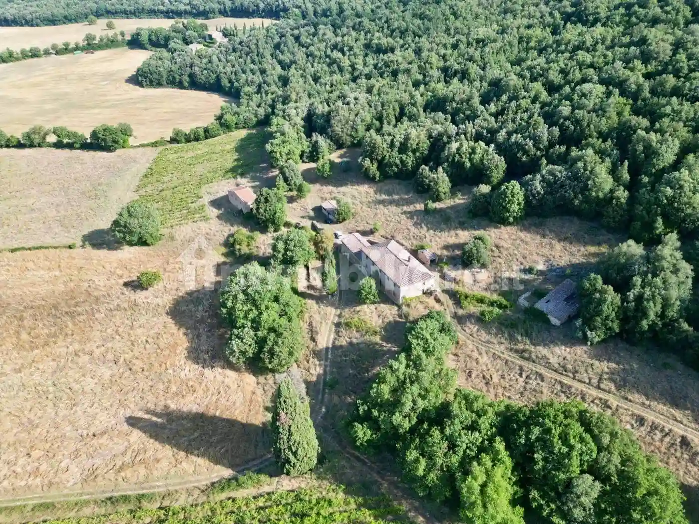 Rustico - Casale - foto 4