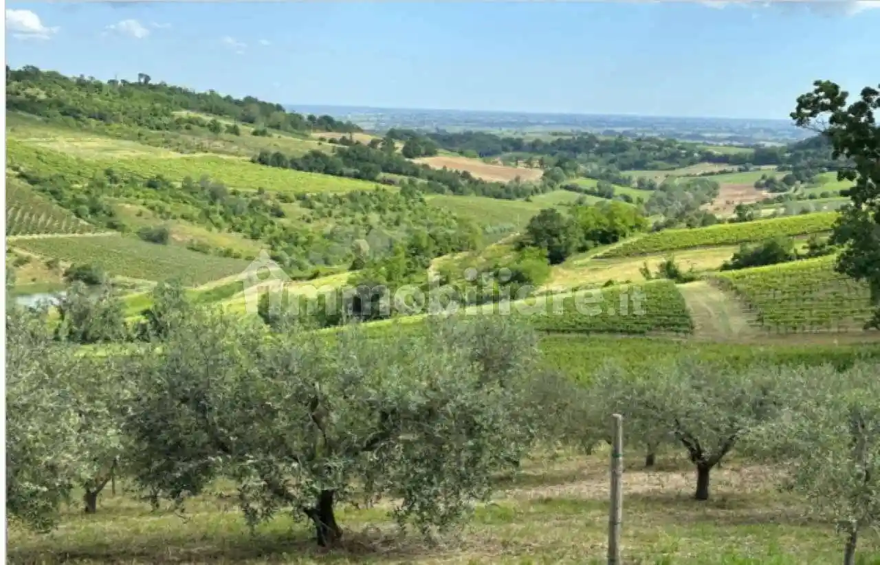 Rustico - Casale in vendita a Brisighella