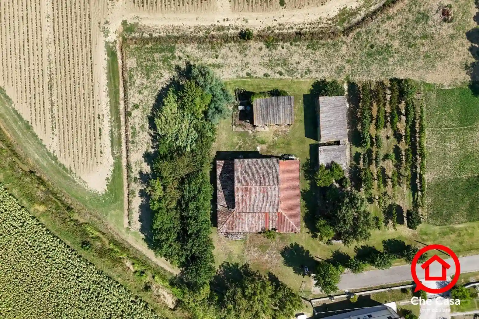 Rustico - Casale - foto 4