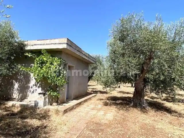 Rustico - Casale in vendita a Bitetto