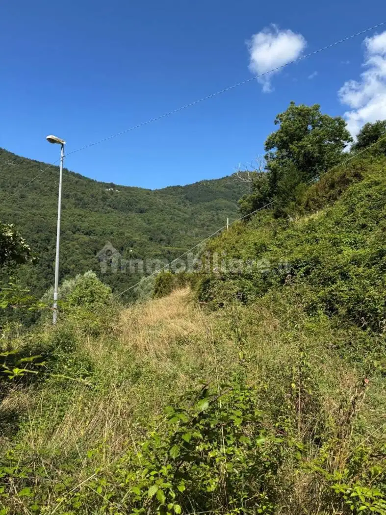 Rustico - Casale in vendita a Neirone