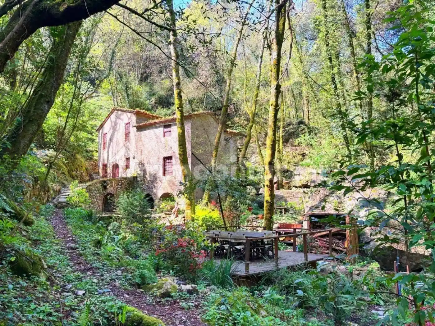 Rustico - Casale in vendita a Camaiore