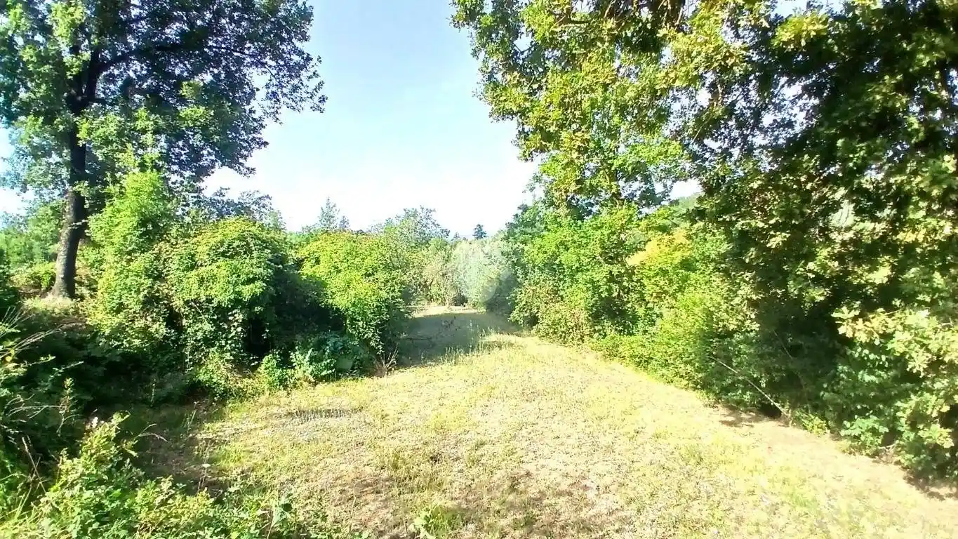 Rustico - Casale in vendita a Paliano