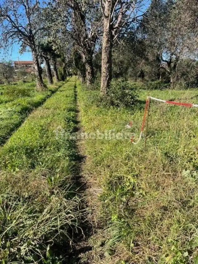 Rustico - Casale in vendita a Sarzana