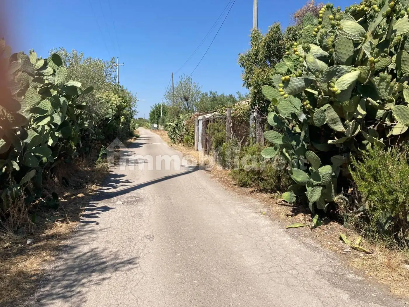 Rustico - Casale in vendita a Foggia