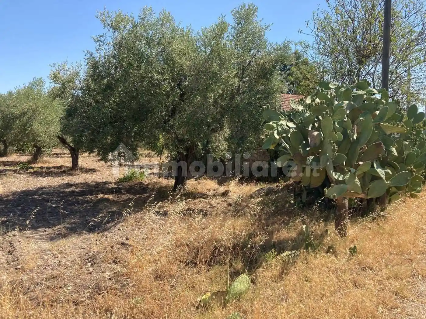 Rustico via del Salice, Salice Vecchio, Foggia - foto 2