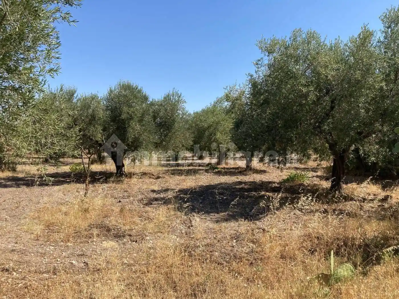Rustico via del Salice, Salice Vecchio, Foggia - foto 3