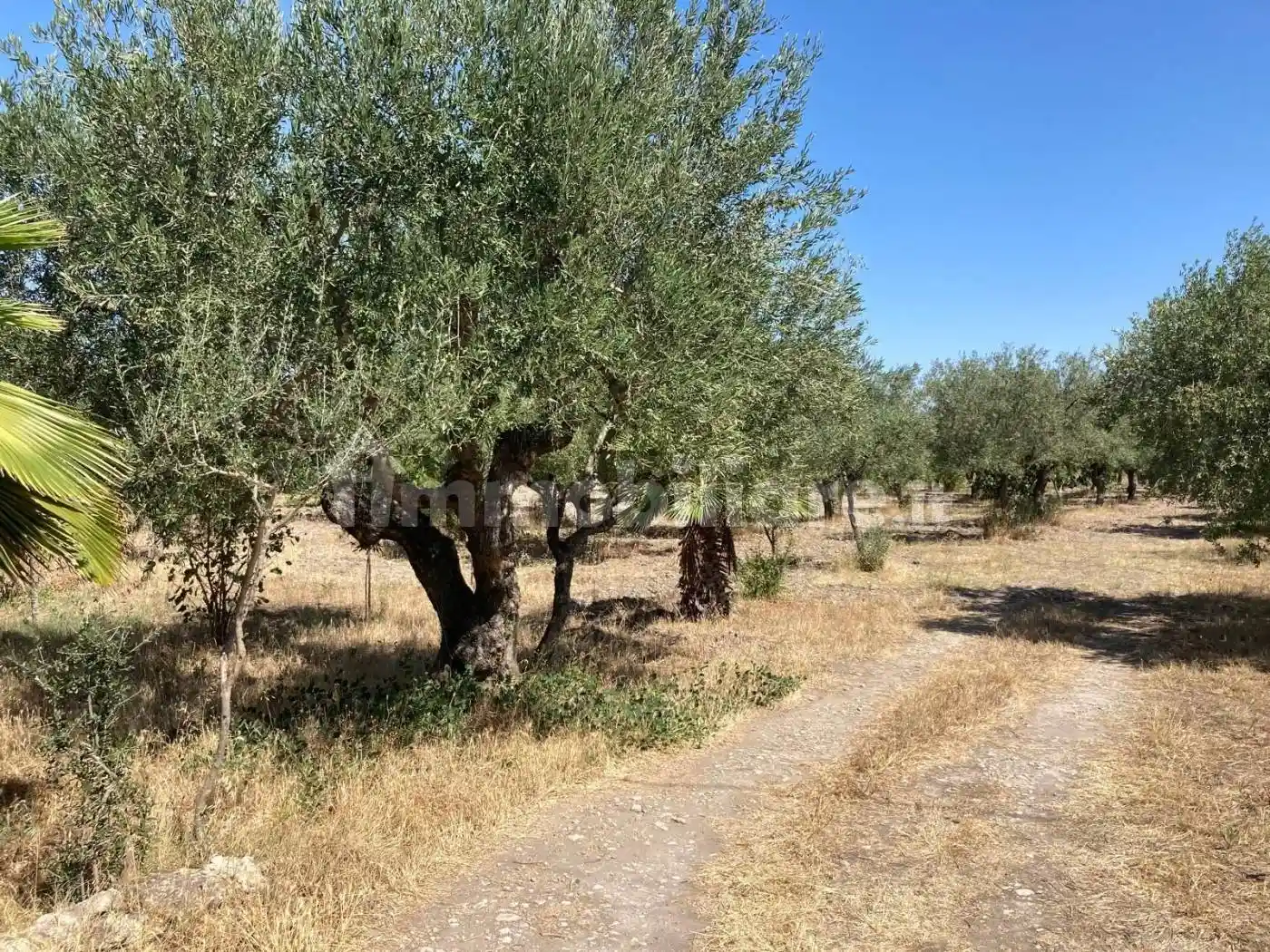 Rustico via del Salice, Salice Vecchio, Foggia - foto 5