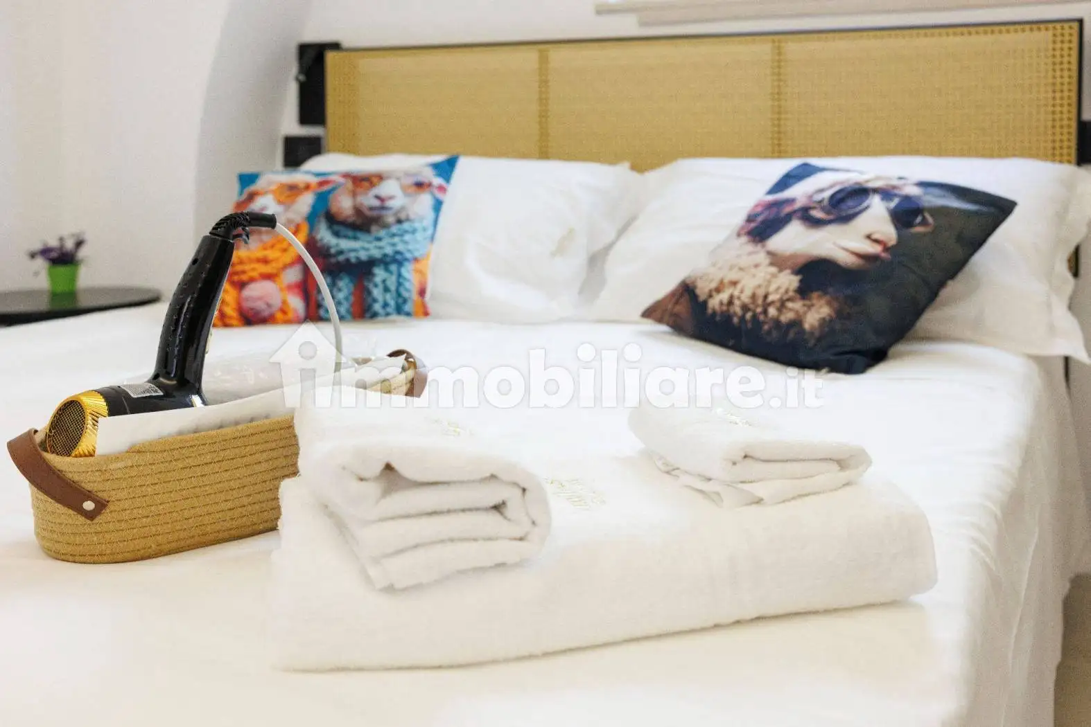 Loft in affitto a Vasto