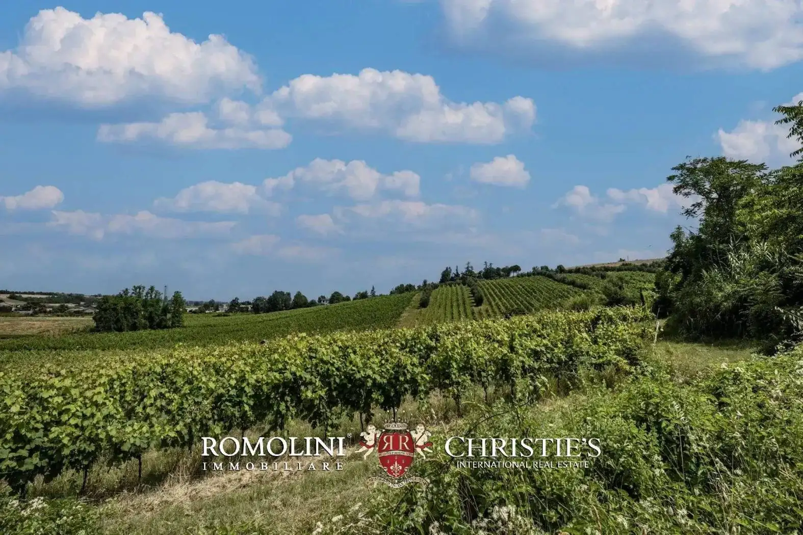 Villa in vendita a Bertinoro