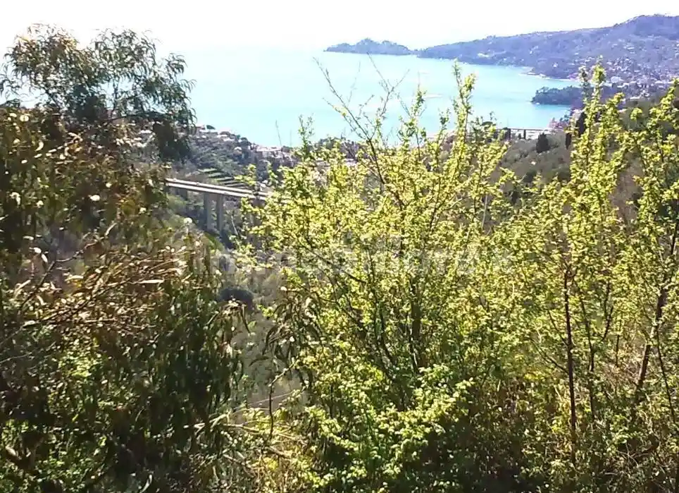 Rustico - Casale in vendita a Rapallo