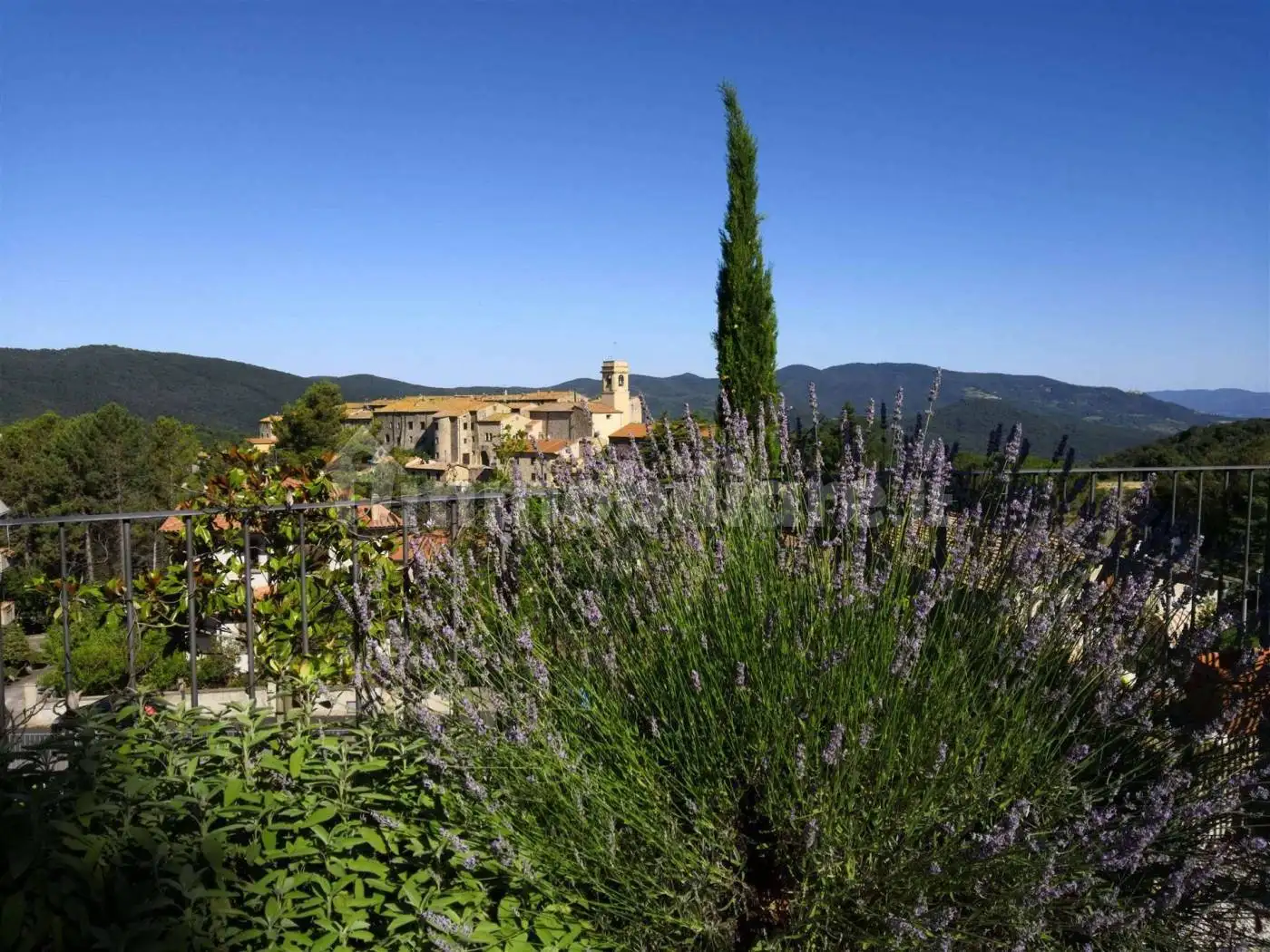 Appartamento in affitto a Monteverdi Marittimo