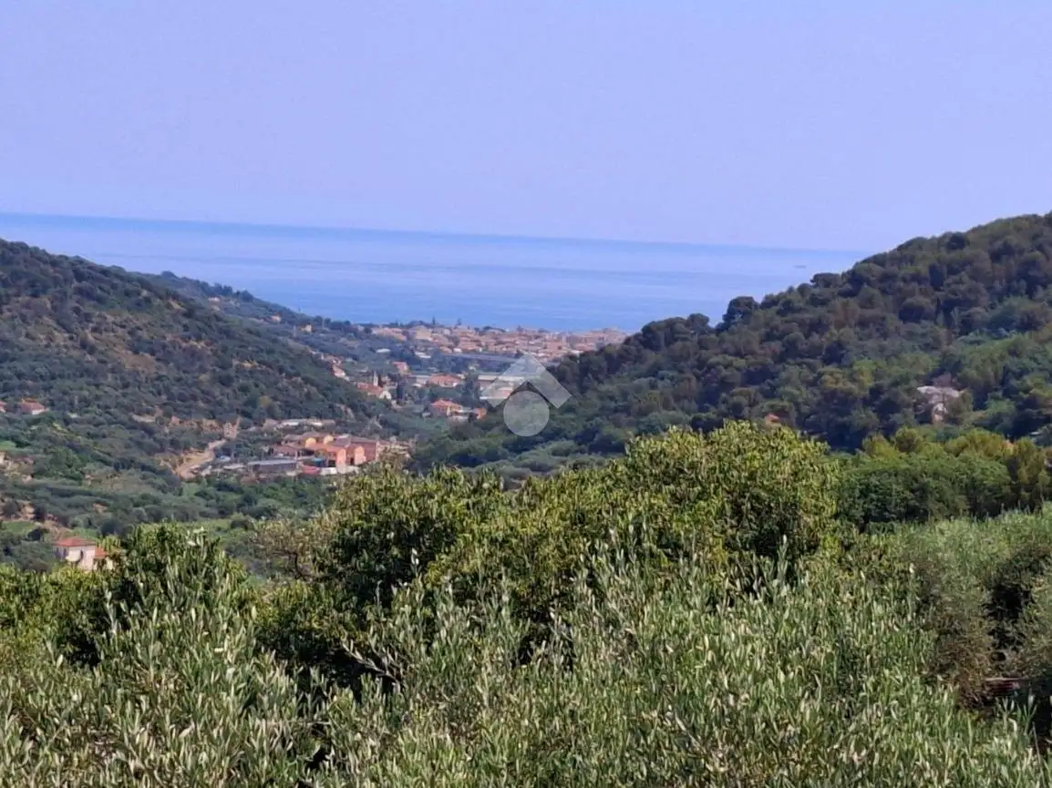 Casa indipendente in vendita a Diano Arentino