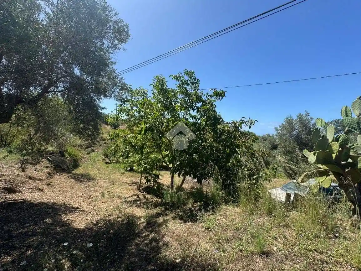Terratetto unifamiliare Localita San Procopio 1, Amantea - foto 2
