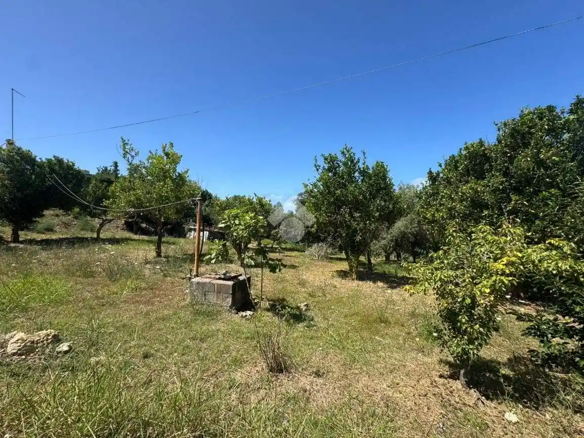 Terratetto unifamiliare Localita San Procopio 1, Amantea - foto 3