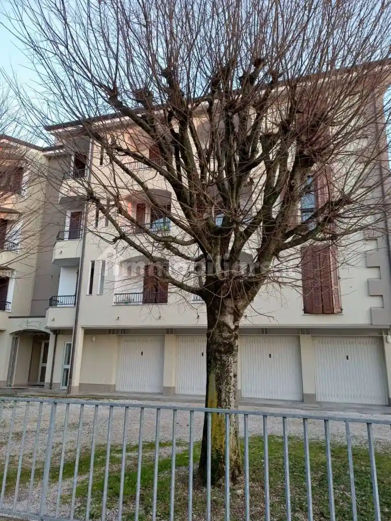 Appartamento in vendita a San Giorgio Bigarello