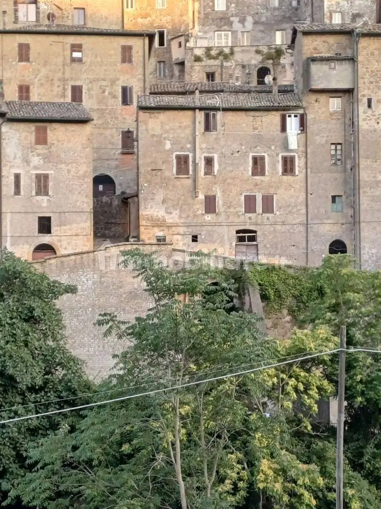 Appartamento in affitto a Grotte di Castro