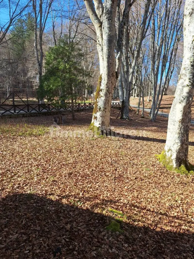 Trilocale via Faggeta 358, Faggeto, Caprese Michelangelo - foto 5