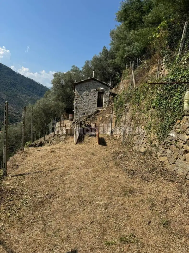 Rustico regione Ortai, Centro, Badalucco - foto 3