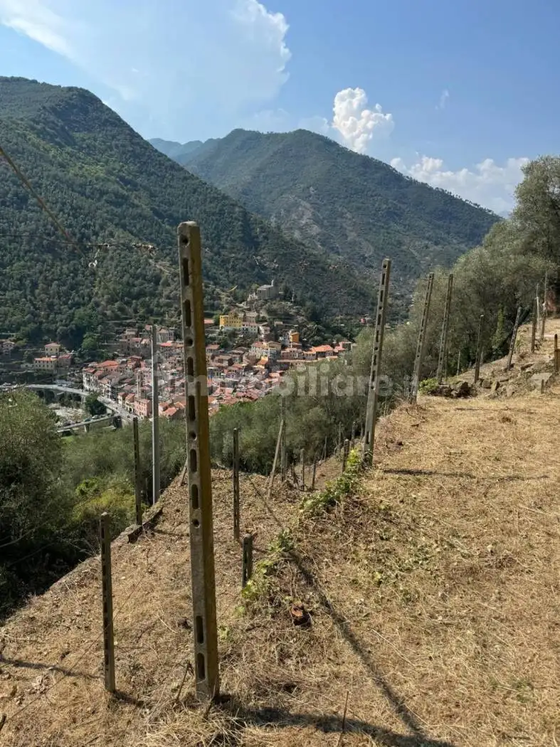 Rustico regione Ortai, Centro, Badalucco - foto 4