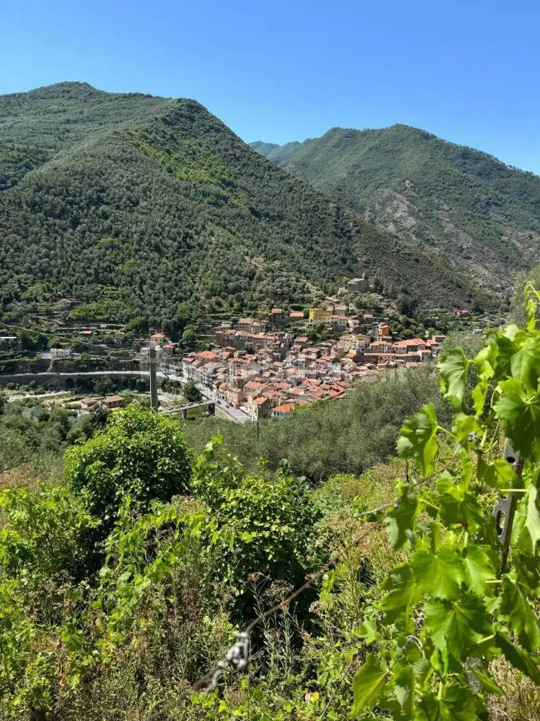 Rustico regione Ortai, Centro, Badalucco - foto 5