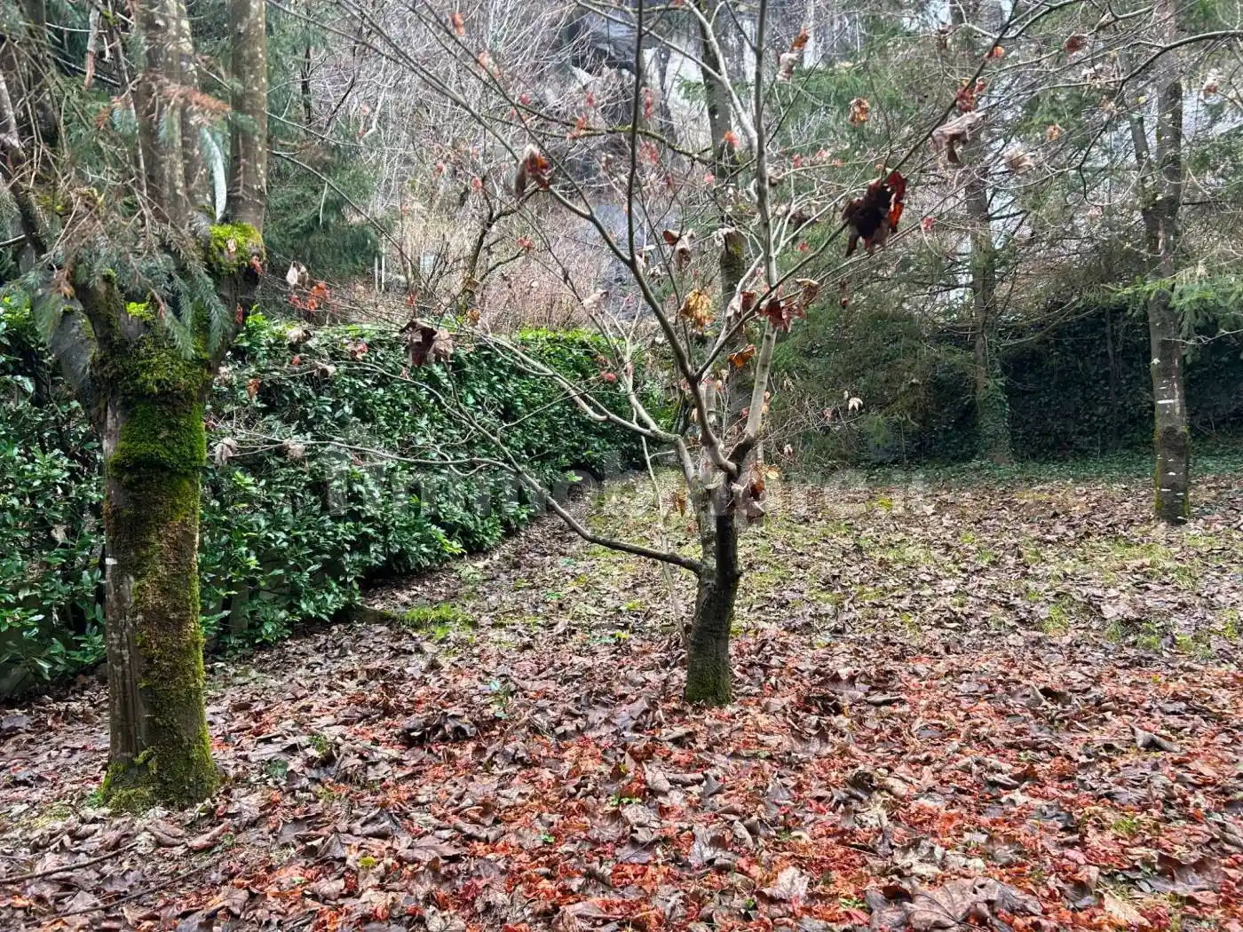 Terratetto unifamiliare Località Val Bianca, Calasca-Castiglione - foto 5
