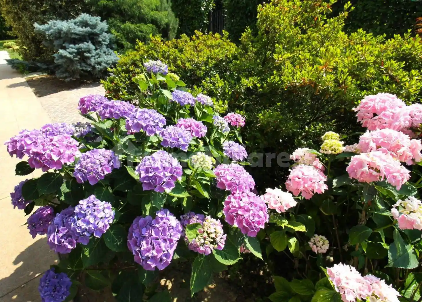 Villa bifamiliare via Camillo Benso di Cavour 129, Ronco, Cernusco sul Naviglio - foto 2