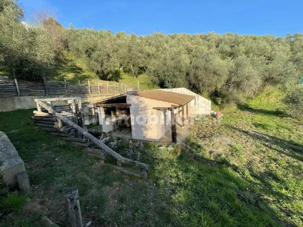 Rustico - Casale - foto 2