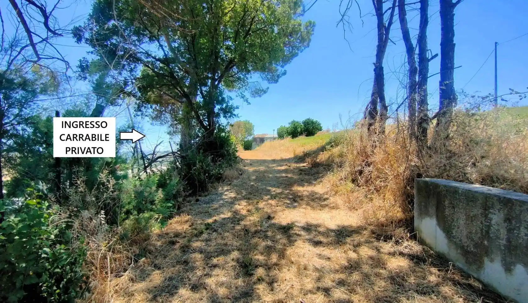 Casale via Chiareto Ovest 21, Bellante - foto 4