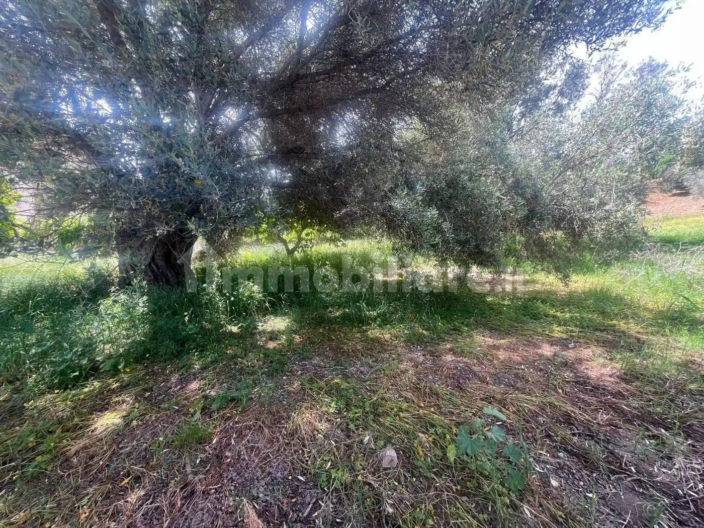 Terratetto plurifamiliare via Provinciale Bosco, Bosco Sant'Ippolito, Bovalino - foto 2