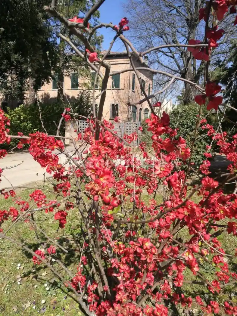 Villa in vendita a Faenza