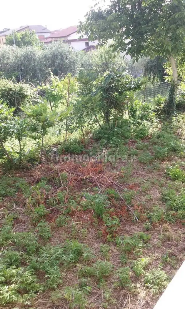 Terratetto unifamiliare via Roma, Bonito - foto 4