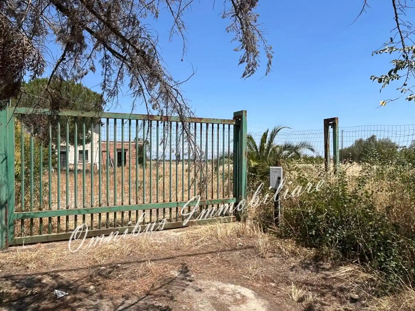 Rustico Strada Comunale Seggese-Borgo Cervaro, Salice Nuovo, Foggia - foto 2