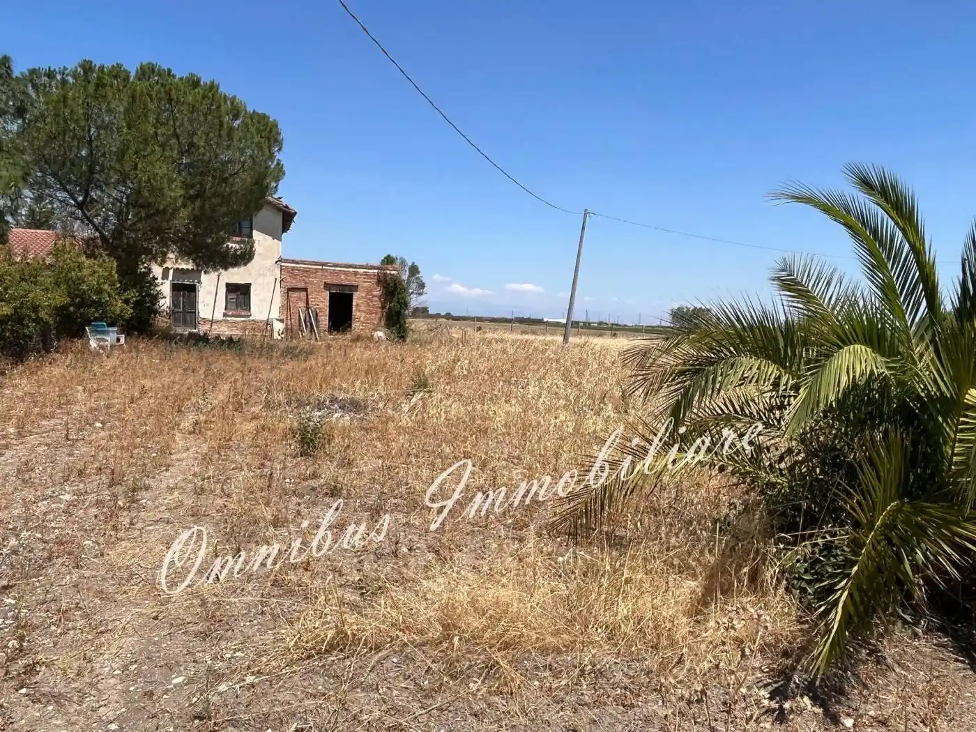 Rustico Strada Comunale Seggese-Borgo Cervaro, Salice Nuovo, Foggia - foto 3