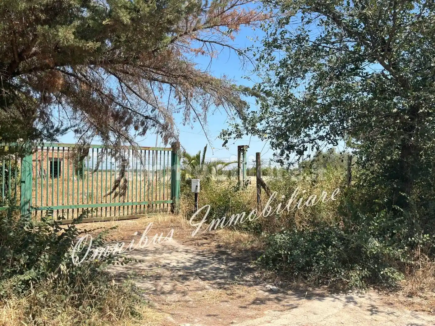 Rustico Strada Comunale Seggese-Borgo Cervaro, Salice Nuovo, Foggia - foto 4